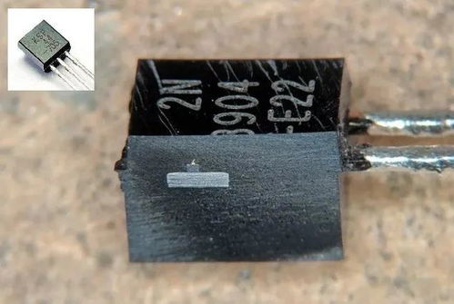 天天都在用電子元器件,里面長什么樣想看看嗎